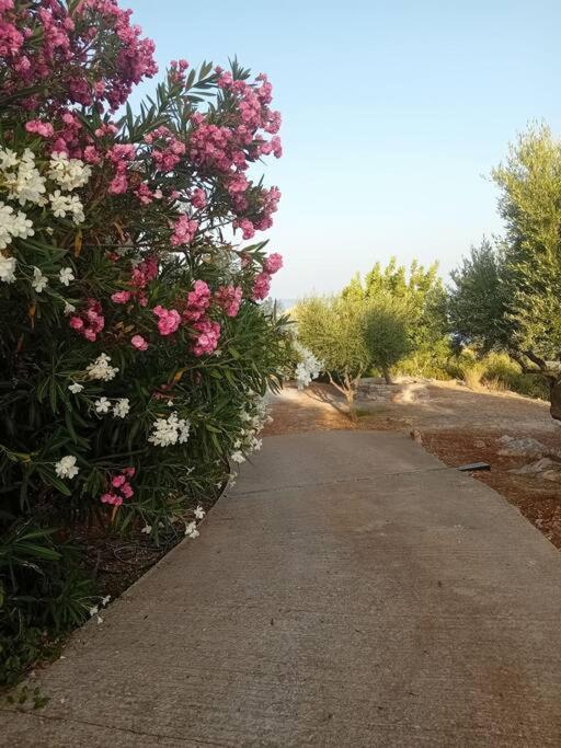 Sofia'S Summer House Koroni  Bagian luar foto